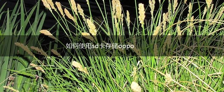 如何使用sd卡存储oppo,第1张