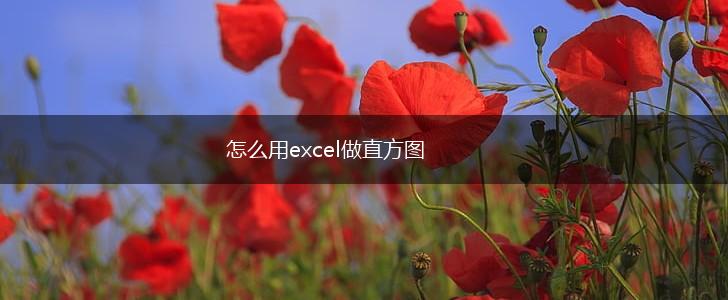 怎么用excel做直方图,第1张