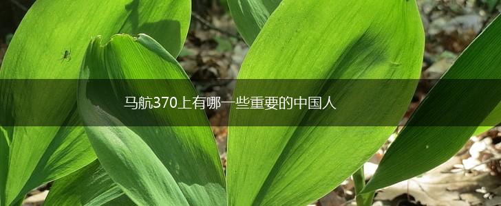 马航370上有哪一些重要的中国人,第1张
