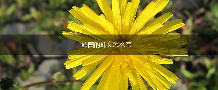 韩国的韩文怎么写,第1张