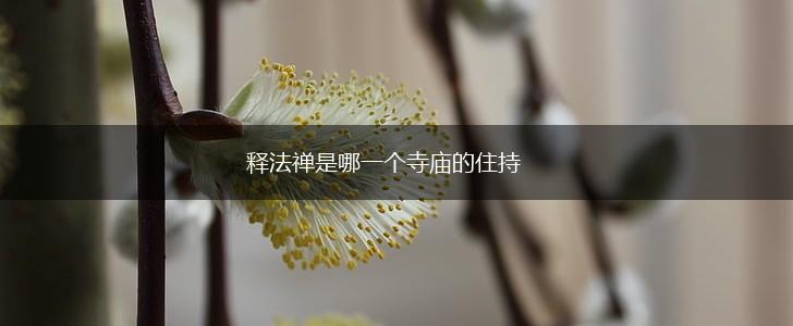 释法禅是哪一个寺庙的住持,第1张