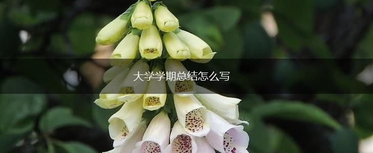 大学学期总结怎么写,第1张