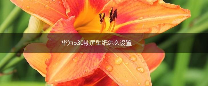 华为p30锁屏壁纸怎么设置,第1张