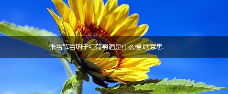 张裕解百纳干红葡萄酒是什么梗 啥意思,第1张