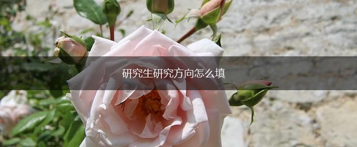 研究生研究方向怎么填,第1张