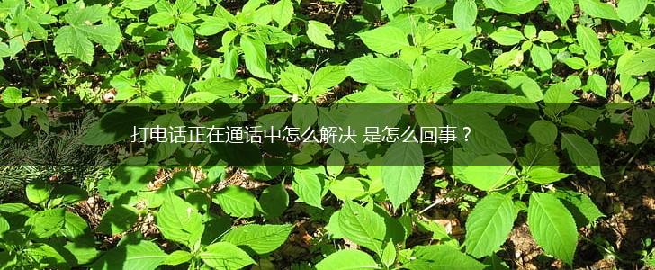 打电话正在通话中怎么解决 是怎么回事？,第1张