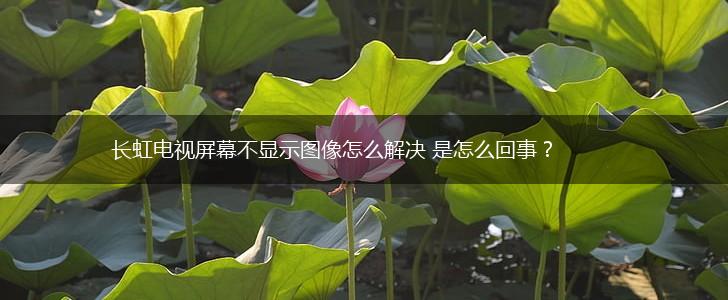 长虹电视屏幕不显示图像怎么解决 是怎么回事？,第1张