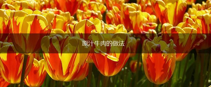 原汁牛肉的做法,第1张