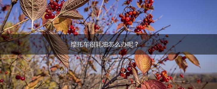 摩托车很耗油怎么办呢？,第1张
