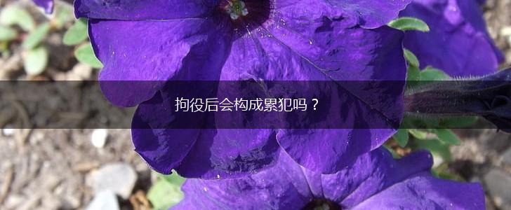 拘役后会构成累犯吗？,第1张