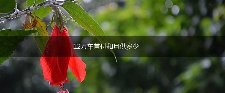 12万车首付和月供多少,第1张