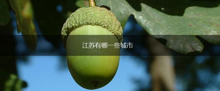 江苏有哪一些城市,第1张