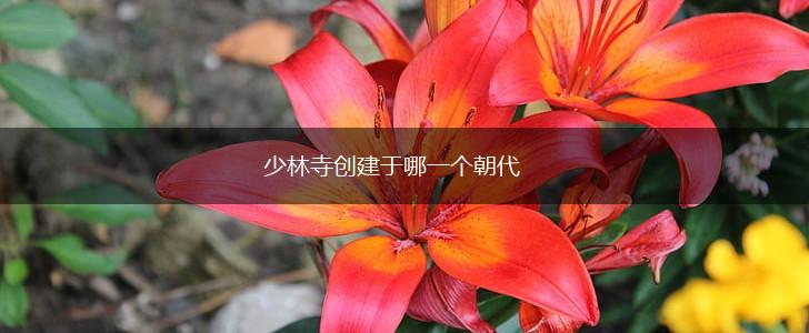 少林寺创建于哪一个朝代,第1张