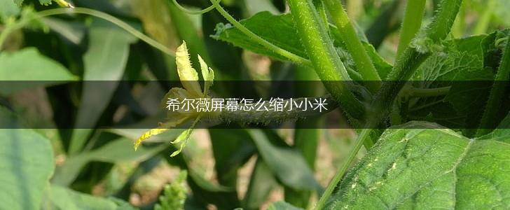 希尔薇屏幕怎么缩小小米,第1张