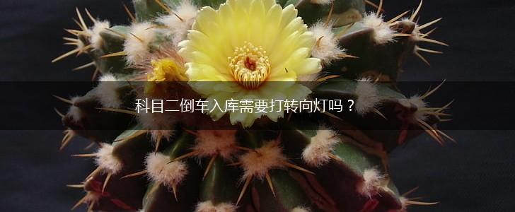 科目二倒车入库需要打转向灯吗？,第1张