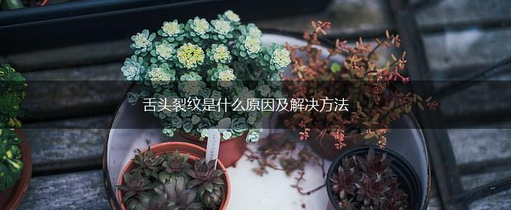 舌头裂纹是什么原因及解决方法,第1张