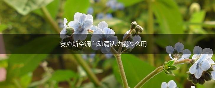 奥克斯空调自动清洗功能怎么用,第1张