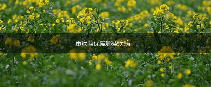 重疾险保障哪些疾病,第1张
