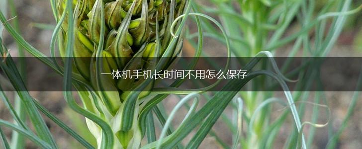 一体机手机长时间不用怎么保存,第1张 一体机手机长时间不用怎么保存,第1张