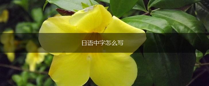 日语中字怎么写,第1张