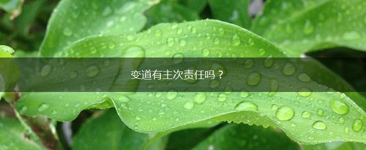 变道有主次责任吗？,第1张