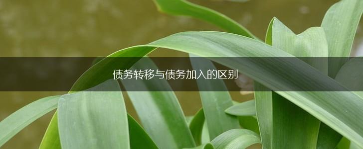 债务转移与债务加入的区别,第1张