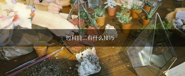 过科目二有什么技巧,第1张