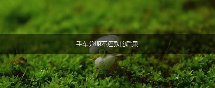 二手车分期不还款的后果,第1张