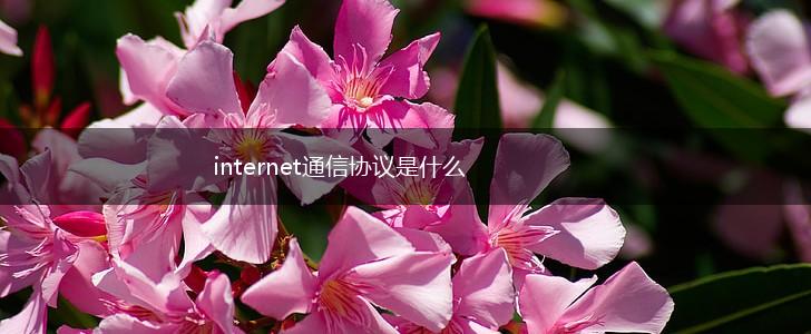 internet通信协议是什么,第1张