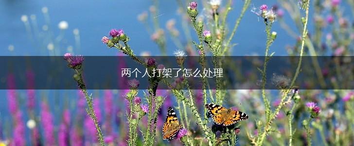 两个人打架了怎么处理,第1张