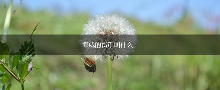 挪威的货币叫什么,第1张