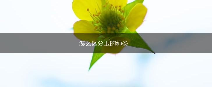 怎么区分玉的种类,第1张