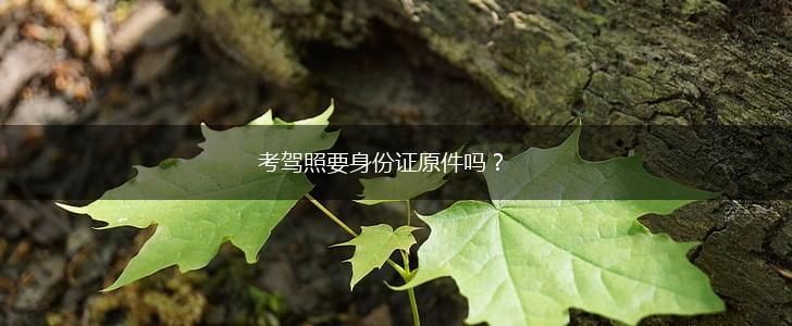 考驾照要身份证原件吗？,第1张
