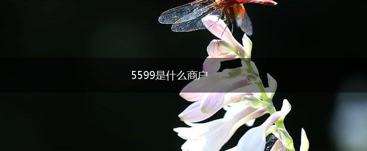 5599是什么商户,第1张