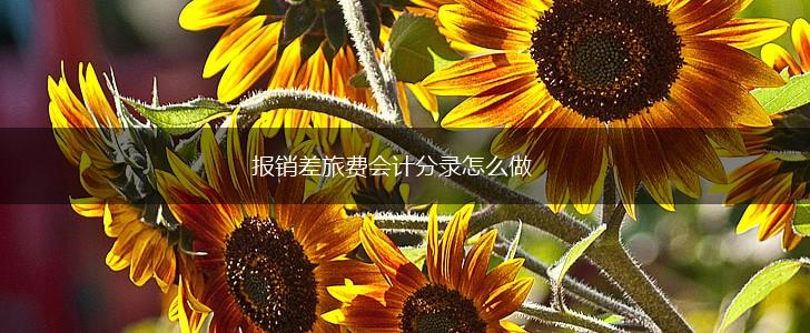 报销差旅费会计分录怎么做,第1张