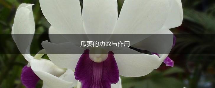 瓜萎的功效与作用,第1张