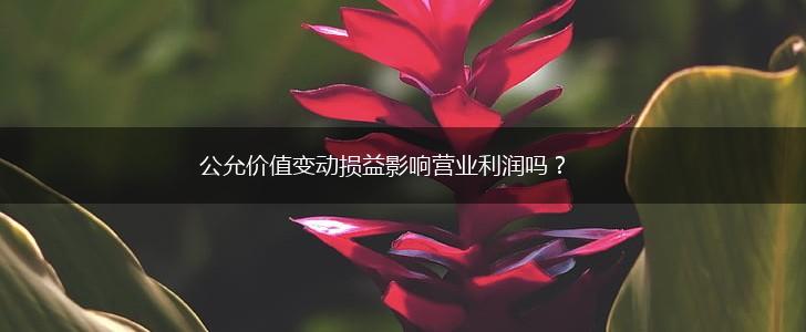 公允价值变动损益影响营业利润吗？,第1张