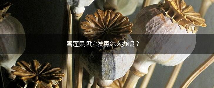 雪莲果切完发黑怎么办呢？,第1张