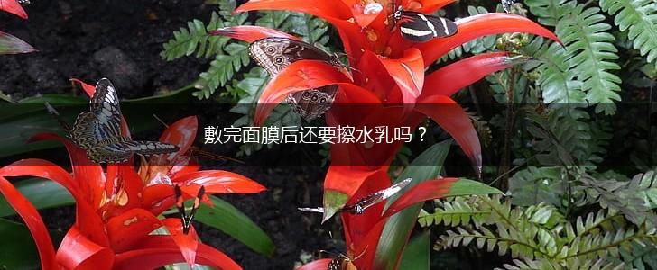 敷完面膜后还要擦水乳吗？,第1张