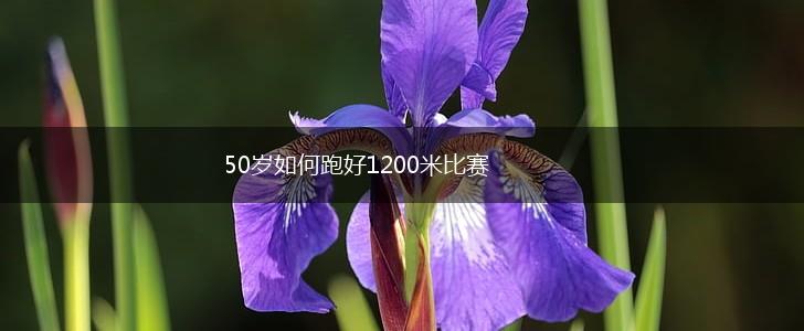 50岁如何跑好1200米比赛,第1张