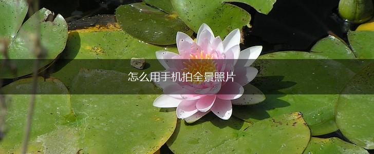 怎么用手机拍全景照片,第1张