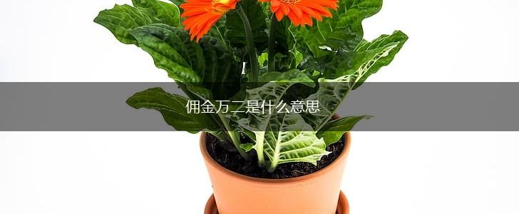 佣金万二是什么意思,第1张