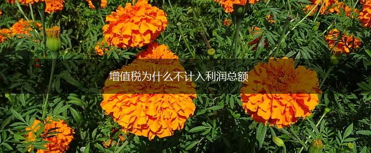 增值税为什么不计入利润总额,第1张