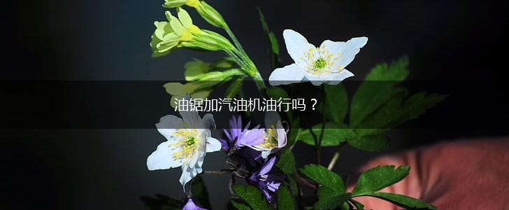 油锯加汽油机油行吗？,第1张