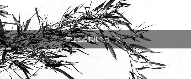 商业险最低几个月一买,第1张