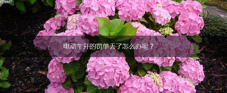电动车开的罚单丢了怎么办呢？,第1张