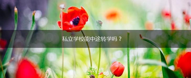 私立学校能中途转学吗？,第1张