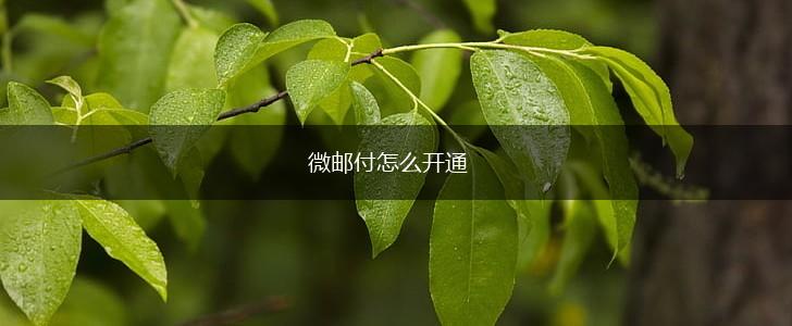 微邮付怎么开通,第1张