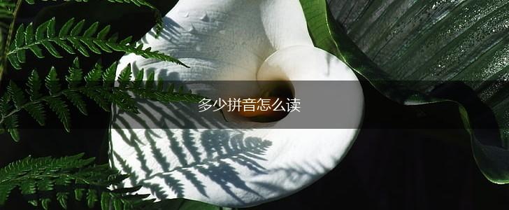 多少拼音怎么读,第1张
