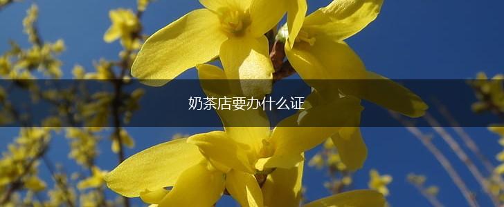 奶茶店要办什么证,第1张